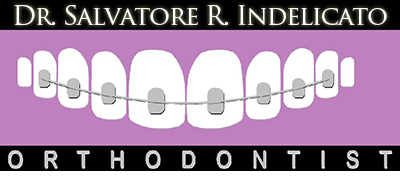 Logo for Salvatore R. Indelicato DMD PC